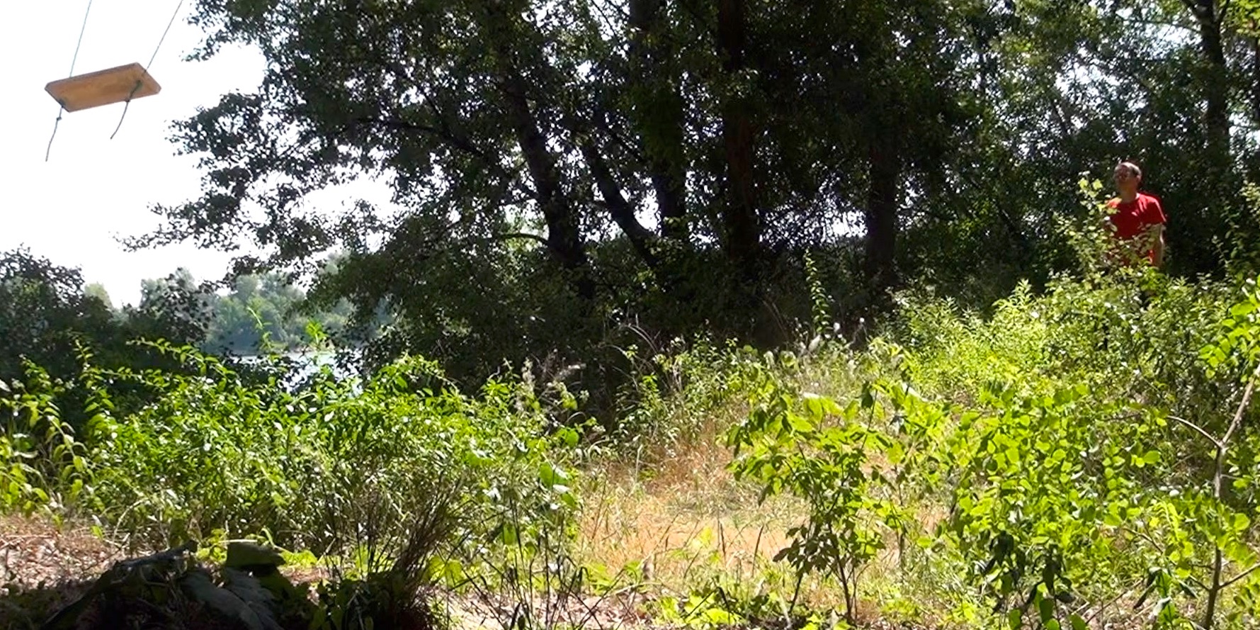 video 0