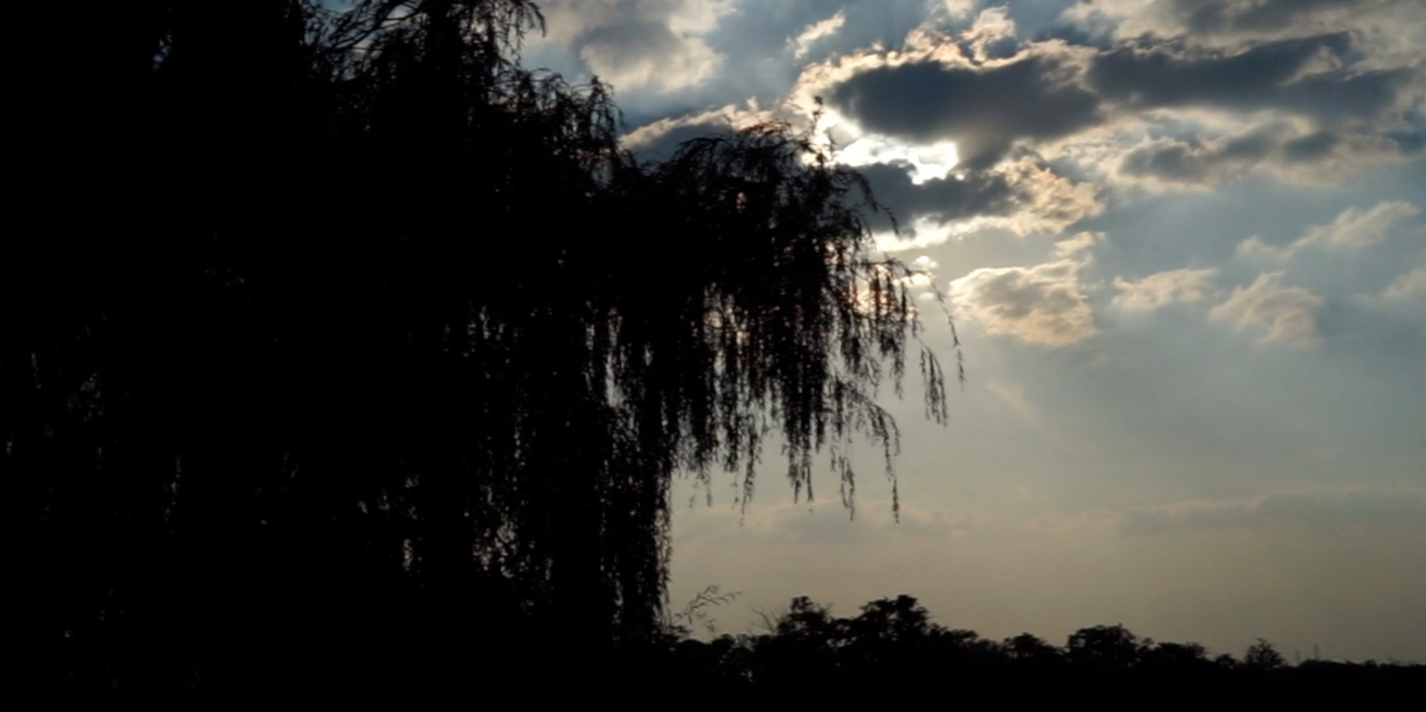 video 9